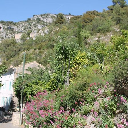 Au bonheur de LILI Lejlighed Fontaine-de-Vaucluse Eksteriør billede